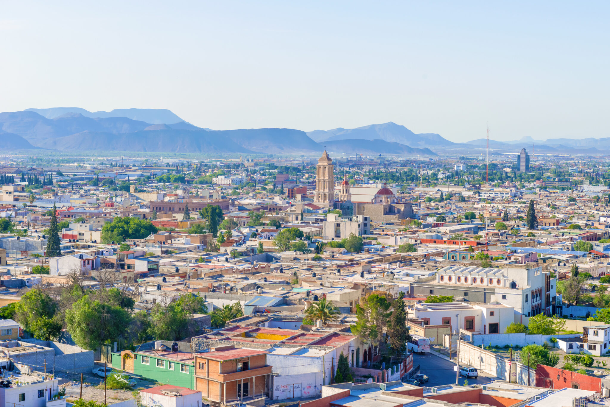 Mexico Rich Sales International